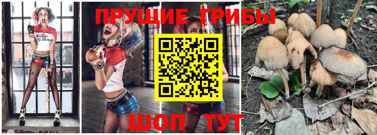 Псилоцибиновые грибы мухоморы  Псилоцибиновые грибы прущие грибы  Карачаевск  Вход с VPN 